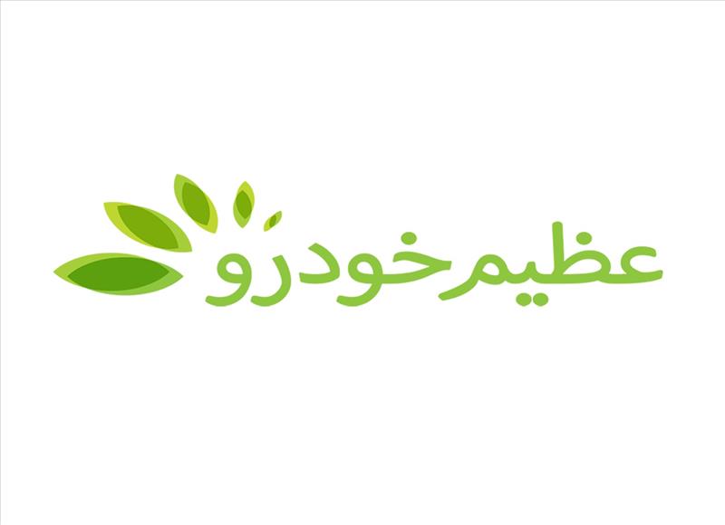 خانه پوشالی عظیم خودرو / خبری از تحویل خودرو نیست